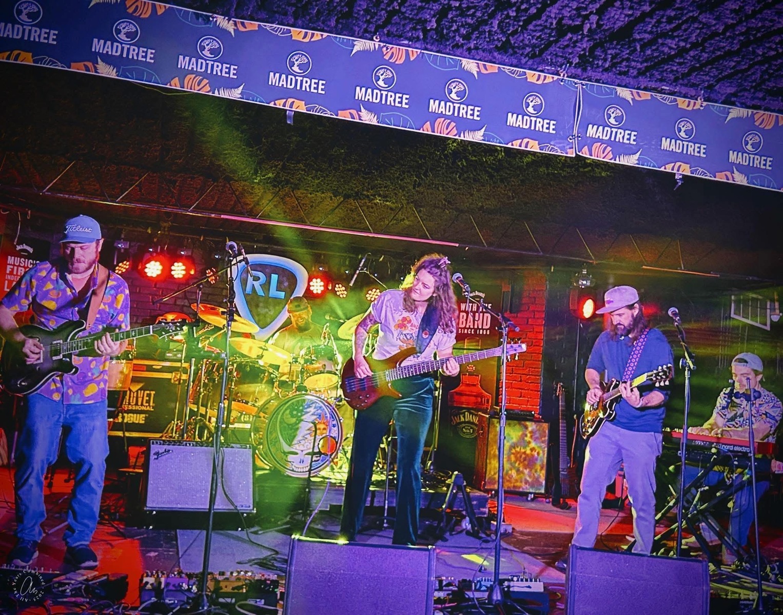 Harold at Paradise Music & Beer Festival