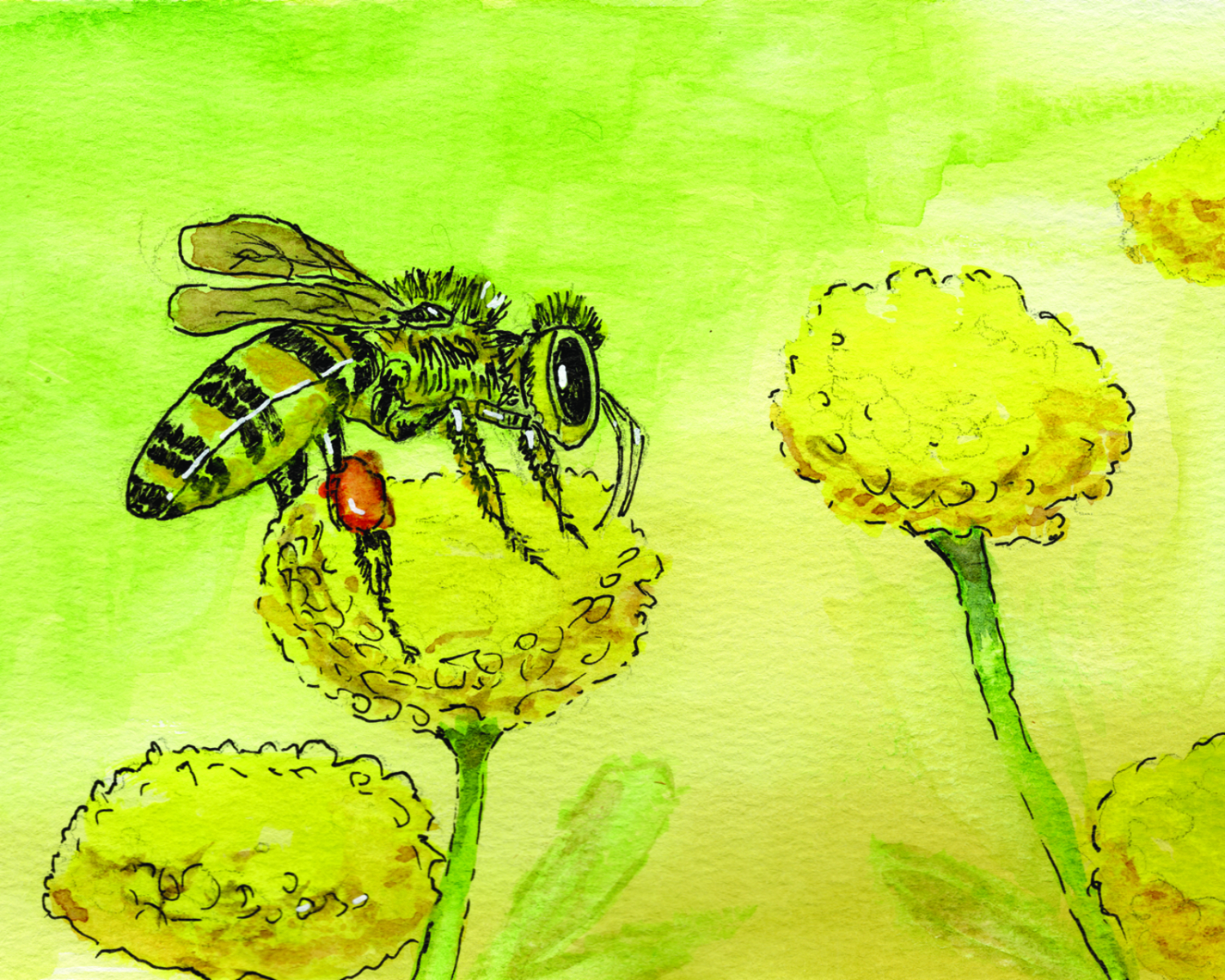 Prepare to Bee Pollinated 