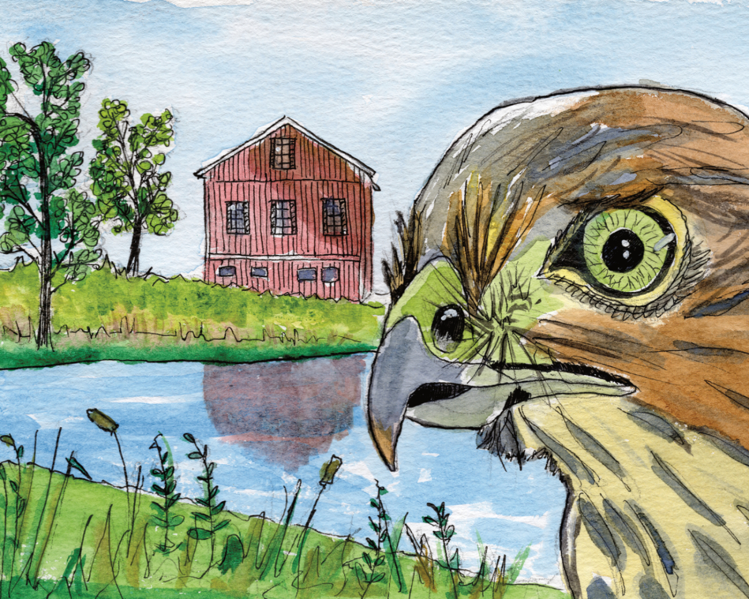 Hawk and Cottage