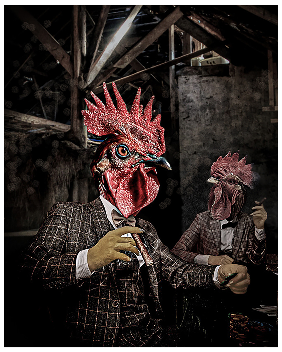 A Rooster Crows at Midnight