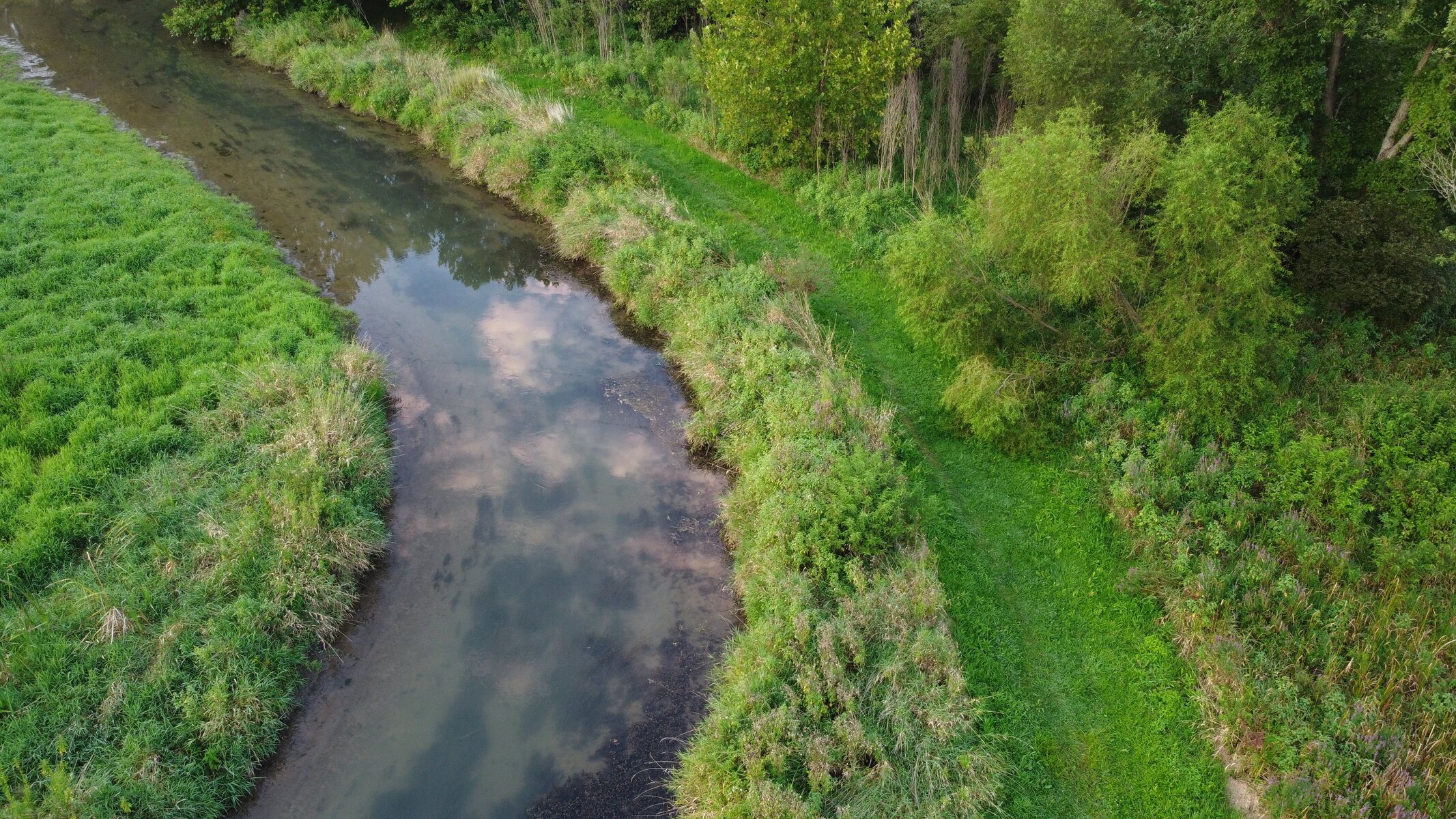 The Beaver Creek Wetlands (Aerial Footage)
