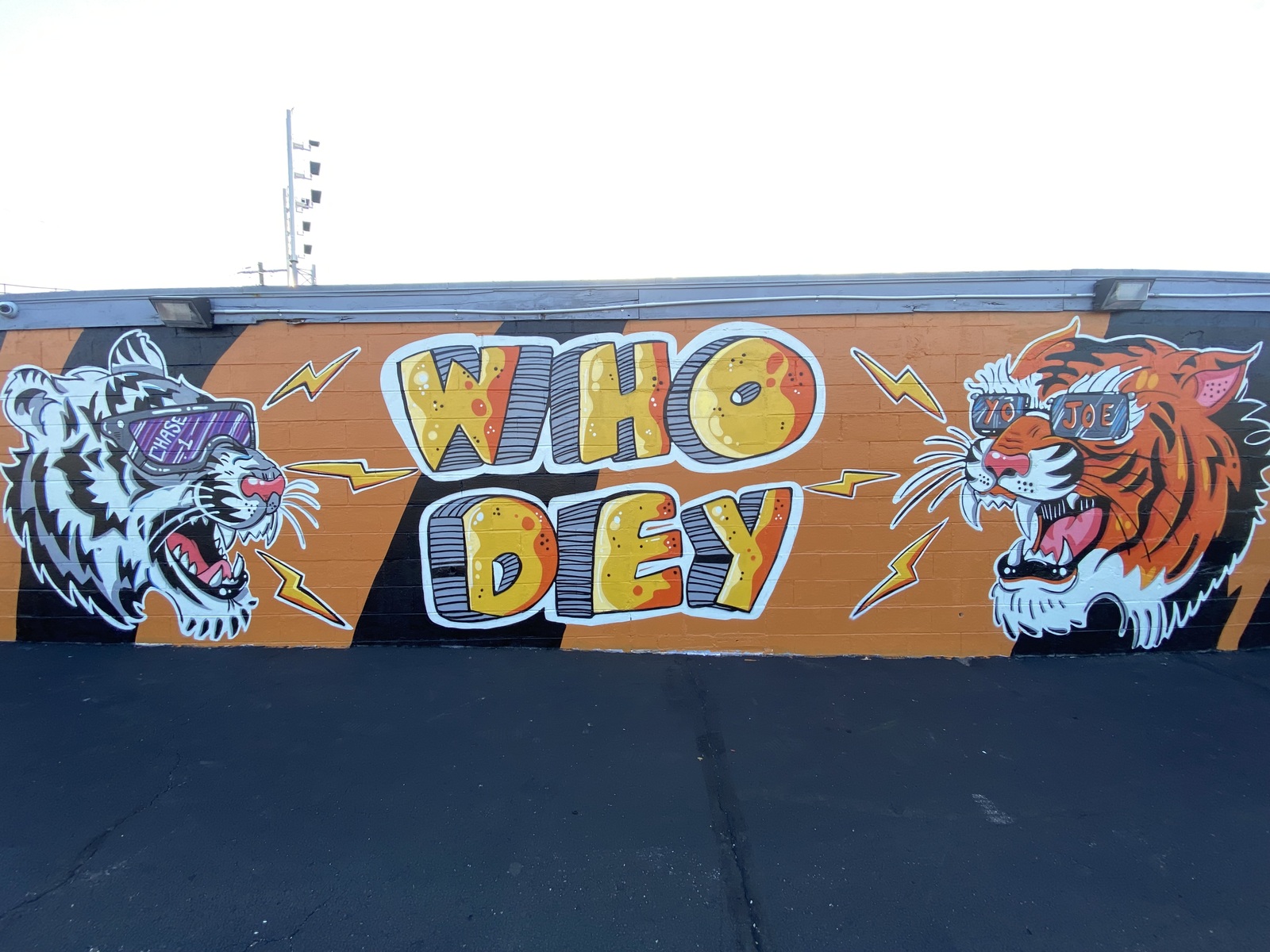 Who Dey KY