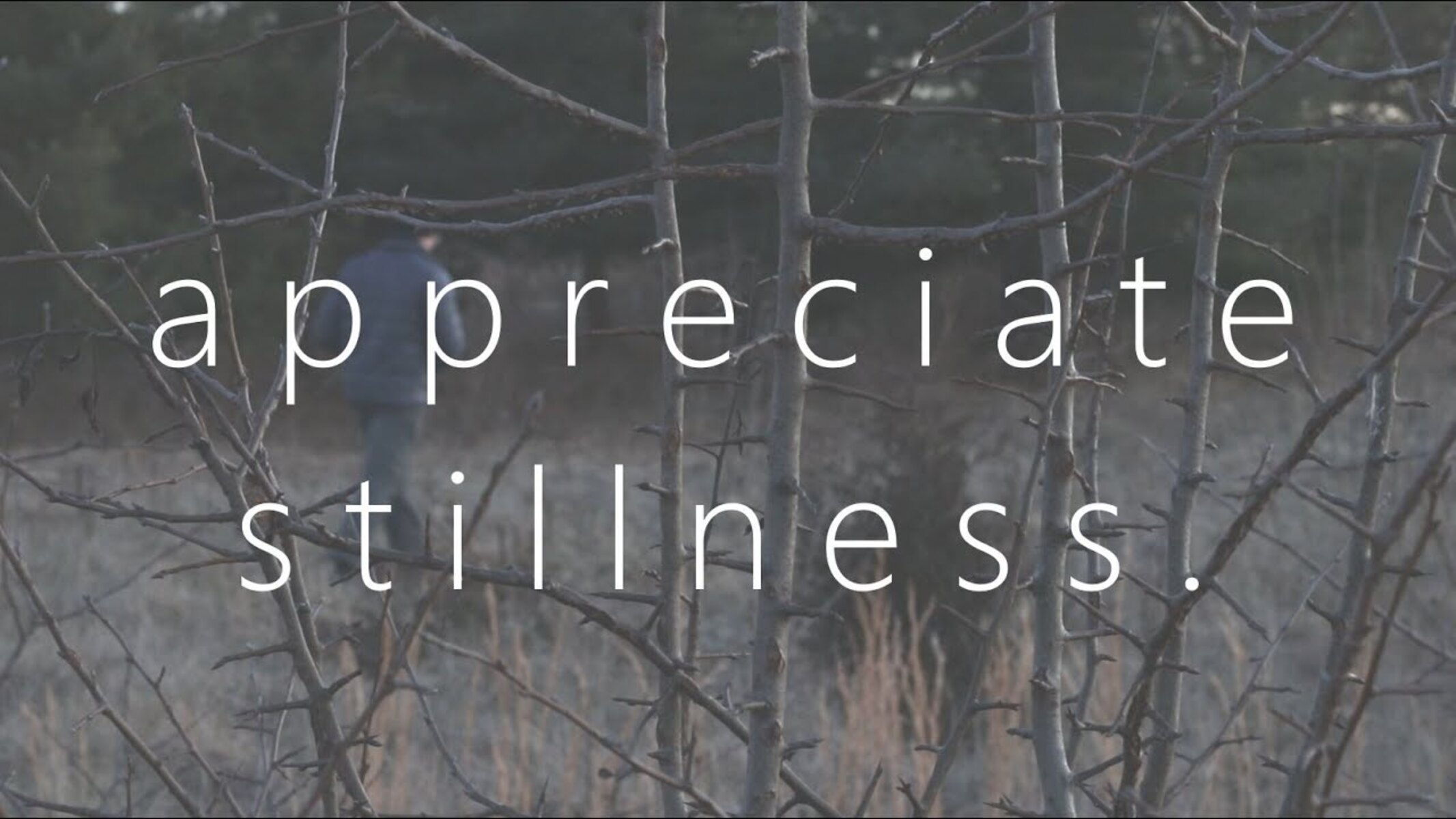 Appreciate Stillness.