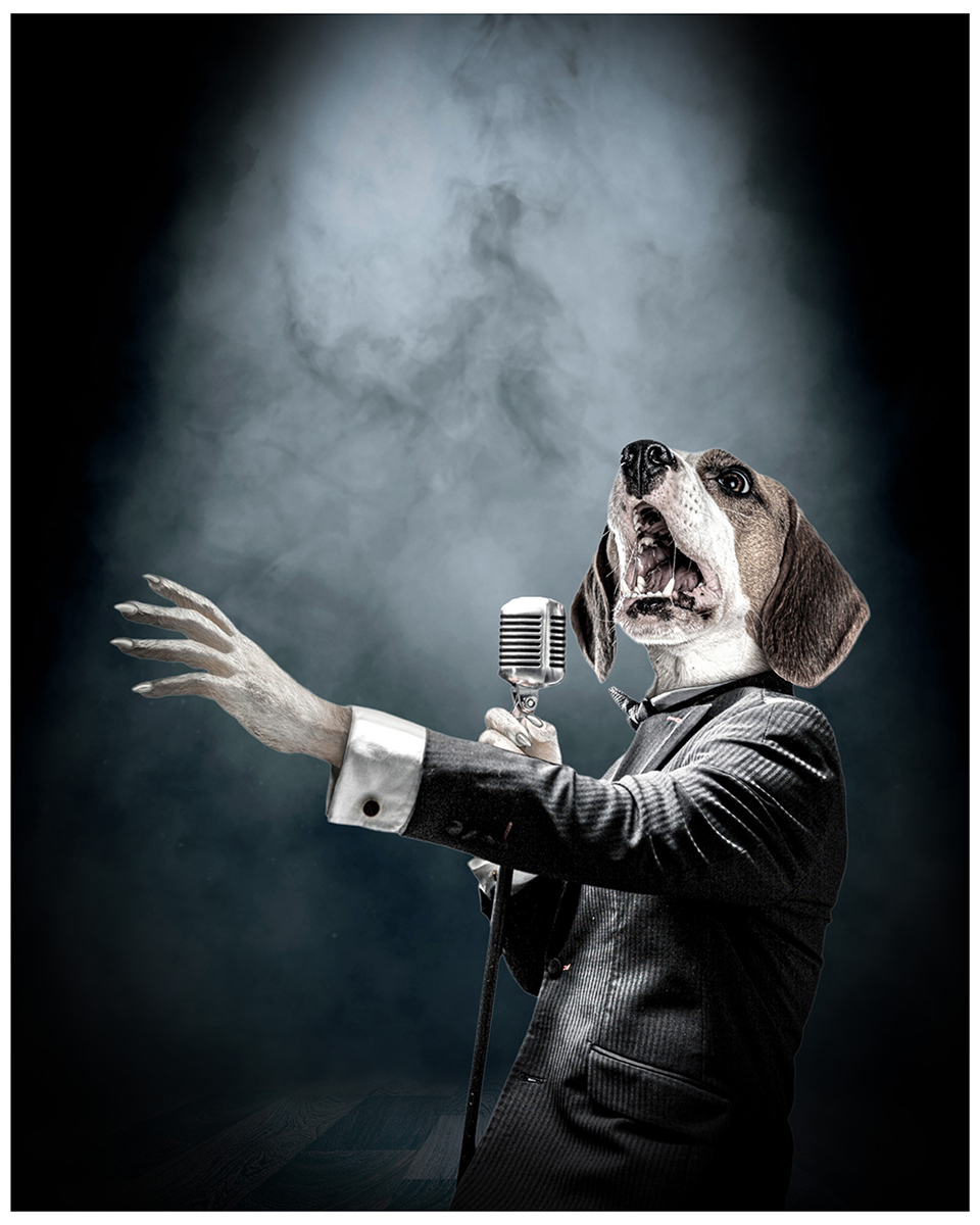 Nothing But a Hounddog