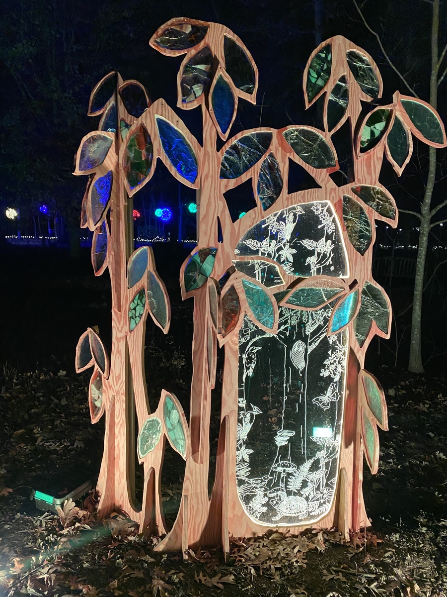 Pawpaw At Night