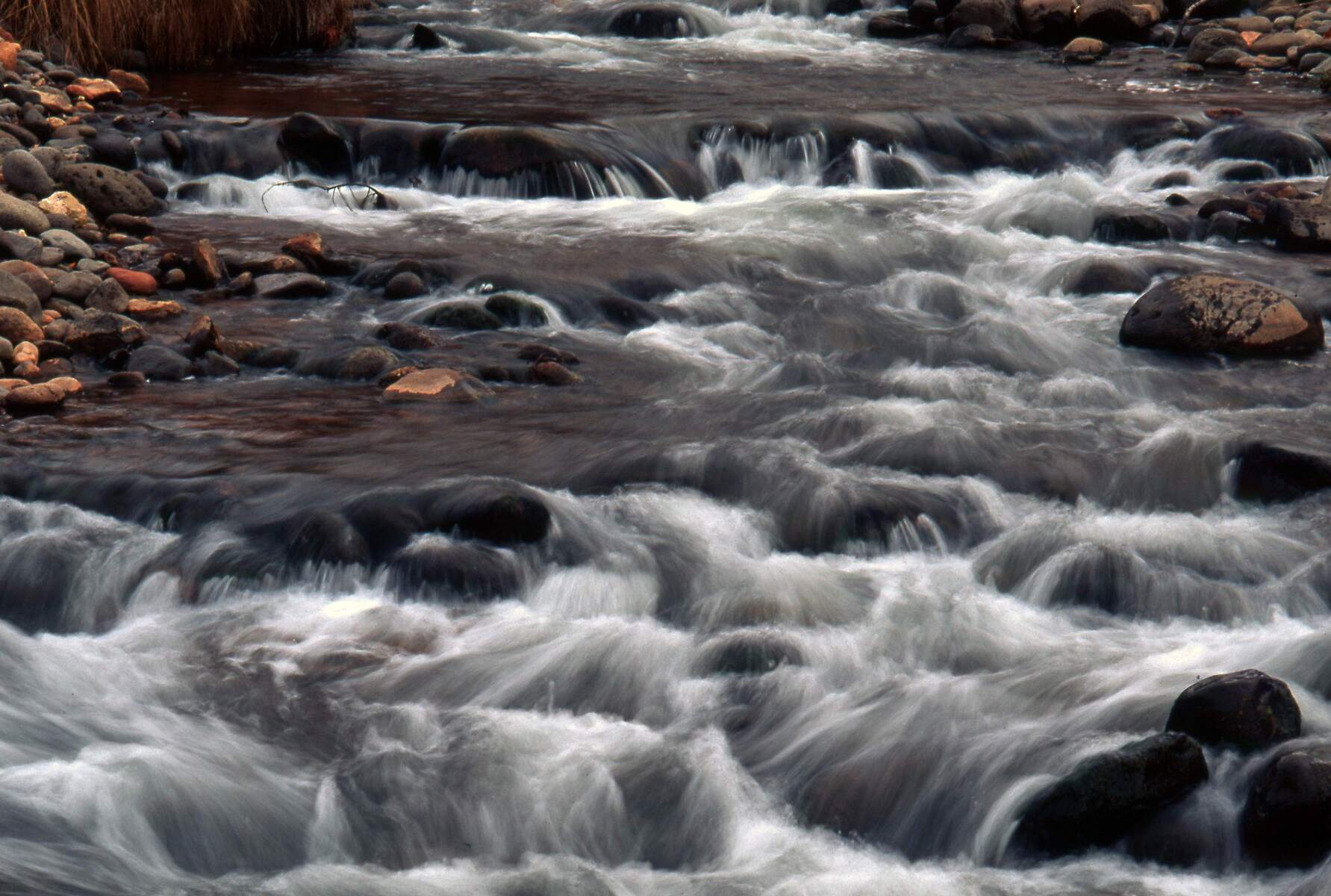 Smoky Mountain Stream