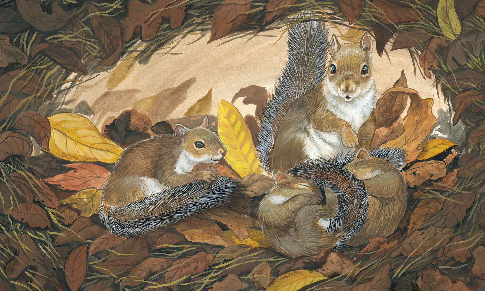 A Warm Winter Tail